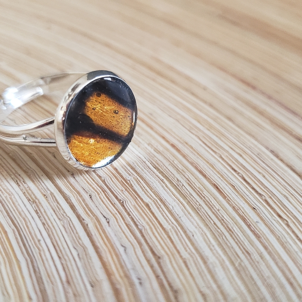 Real Butterfly Wing Ring- self sizing